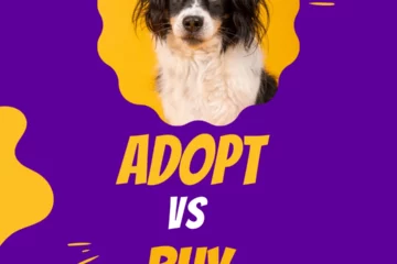 Adopting Vs Buying A Dog
