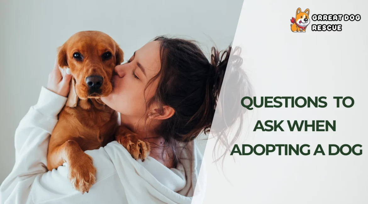 Questions to Ask When Adopting a Dog